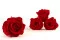 Preserved Rose XL Red - Bulk (x432) 2