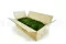 Preserved Long Moss (Bulk Box) 3