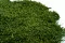 Preserved Long Moss (Bulk Box) 9
