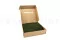 Konservierte Langes Moos (Box) 2