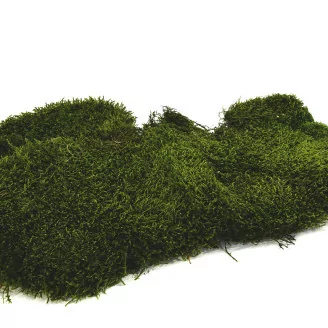 Mousse Longue stabilis&eacute;e (Bo&icirc;te)