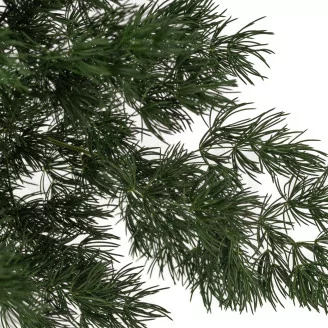 Ming Fern stabilis&eacute; Vert