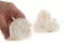Preserved Rose XL White - Bulk (x432) 5