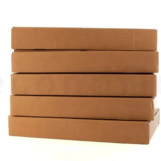Rosa stabilizzata XL Bianco - Grande formato (x432)