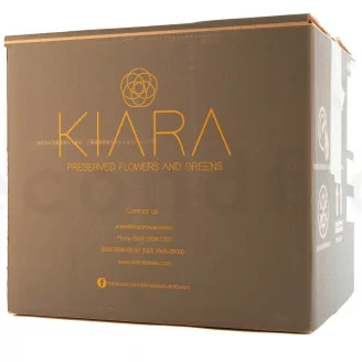 Konservierte Rose XL Wei&szlig; - Gro&szlig;packung (x432)