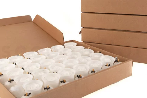 Preserved Rose XL White - Bulk (x432)