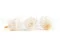 Rose stabilis&eacute;e XL Blanc - Vrac (x432) 3
