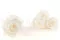 Rose stabilis&eacute;e XL Blanc - Vrac (x432) 2