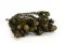 Tortum Femminile stabilizzato Verde 7