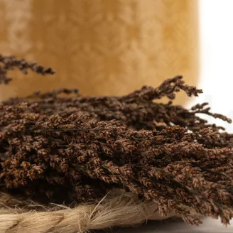 Preserved Reed Grass