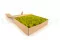 Lichene stabilizzato Lime Green (Scatola) 3