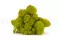 Konserviertes Islandmoos Lime Green (Box) 1