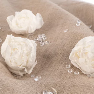 Preserved Peony White (x3)