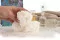 Preserved Peony White (x3) 5