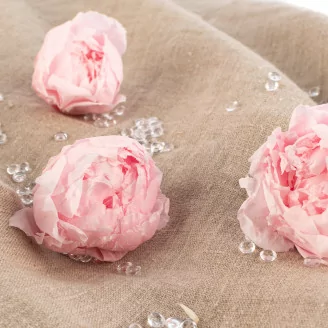 Pivoine stabilis&eacute;e Rose (x3)