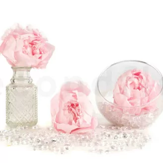 Konservierte Pfingstrose Rosa (x3)