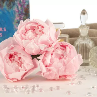Pivoine stabilis&eacute;e Rose (x3)