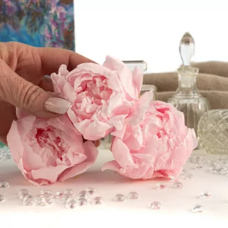 Pivoine stabilis&eacute;e Rose (x3)