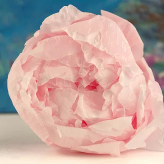 Konservierte Pfingstrose Rosa (x3)