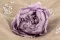 Peonia stabilizzata Lavanda (x3) 1