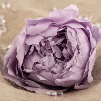 Peonia stabilizzata Lavanda (x3)