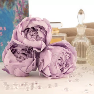 Pivoine stabilis&eacute;e Lavande (x3)