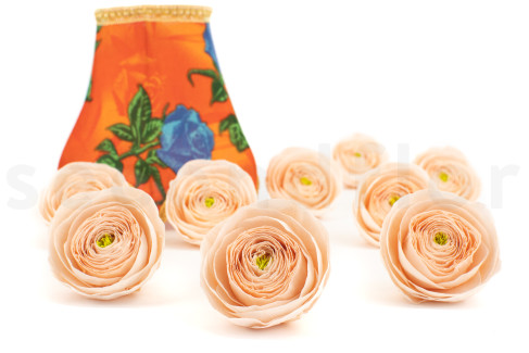 Ranunculus Stabilized - Box of 9 - Peach