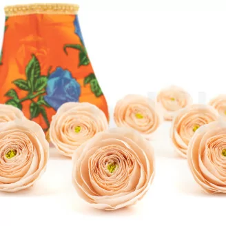 Renoncule stabilis&eacute; P&ecirc;che (x9)