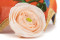 Ranunculus Stabilized - Box of 9 - Peach 2