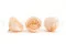 Preserved Ranunculus Peach (x9) 3