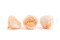 Ranunculus Stabilized - Box of 9 - Peach 3
