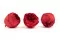 Rosa Niki preservada Rojo (x6) 4