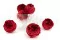 Rosa Niki stabilizzata Rosso (x6) 1