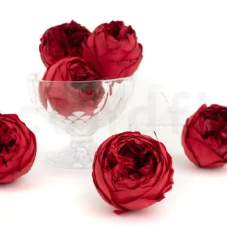 Rosa Niki preservada Rojo (x6)