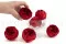 Rosa Niki preservada Rojo (x6) 5