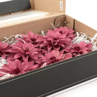 Dalia preservada Rosa (x8)