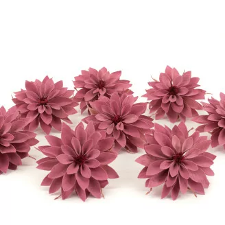 Konservierte Dahlie Rosa (x8)