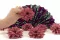 Preserved Dahlia Pink (x8) 5