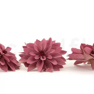 Konservierte Dahlie Rosa (x8)