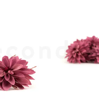 Konservierte Dahlie Rosa (x8)