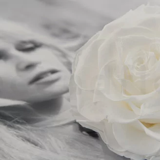 Preserved Mandala Rose XXL White