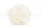 Rose stabilis&eacute;e mandala XXL Blanc 4