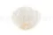 Preserved Mandala Rose XXL White 9