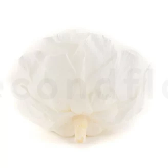 Konservierte Mandala Rose XXL Wei&szlig;
