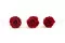 Rose stabilis&eacute;e XL Rouge fonc&eacute; - Vrac (x432) 3
