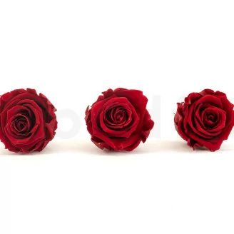 Rose stabilis&eacute;e XL Rouge fonc&eacute; - Vrac (x432)