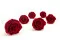 Rosa stabilizzata XL Rosso Scuro - Grande formato (x432) 8