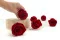 Rose stabilis&eacute;e XL Rouge fonc&eacute; - Vrac (x432) 5