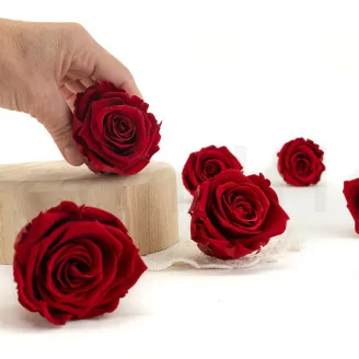 Rose stabilis&eacute;e XL Rouge fonc&eacute; - Vrac (x432)