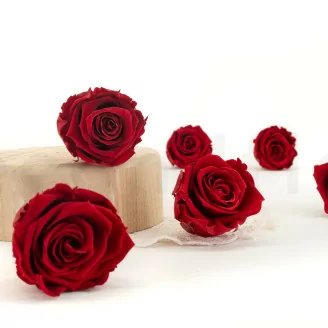 Rose stabilis&eacute;e XL Rouge fonc&eacute; - Vrac (x432)